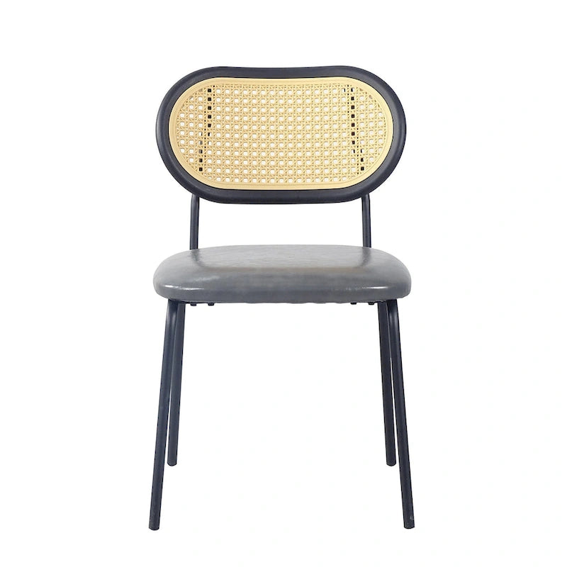 Modern Simple Leather Dining Chair with Metal Pipe and PP Back